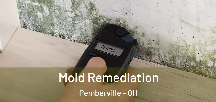  Mold Remediation Pemberville - OH