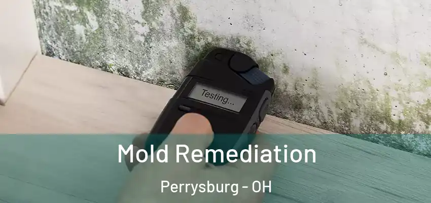  Mold Remediation Perrysburg - OH