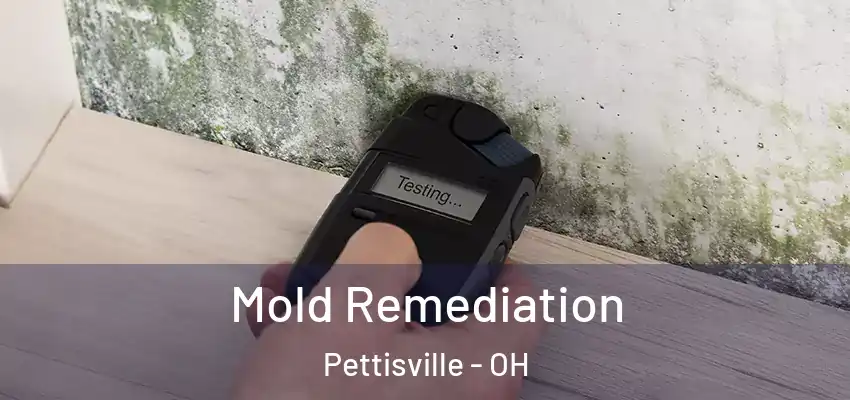  Mold Remediation Pettisville - OH
