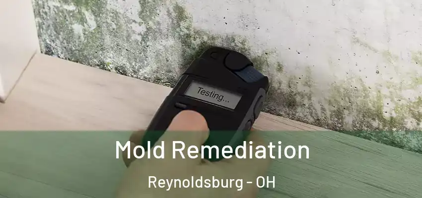 Mold Remediation Reynoldsburg - OH