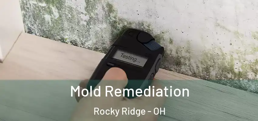  Mold Remediation Rocky Ridge - OH
