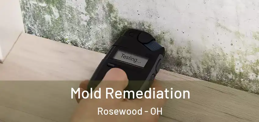  Mold Remediation Rosewood - OH