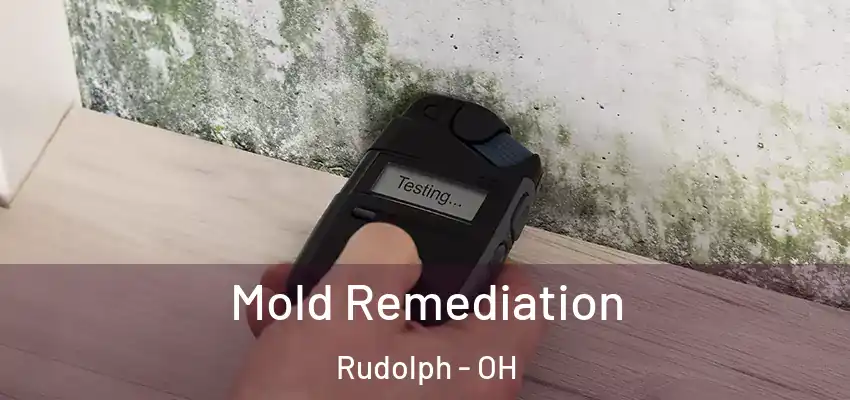  Mold Remediation Rudolph - OH