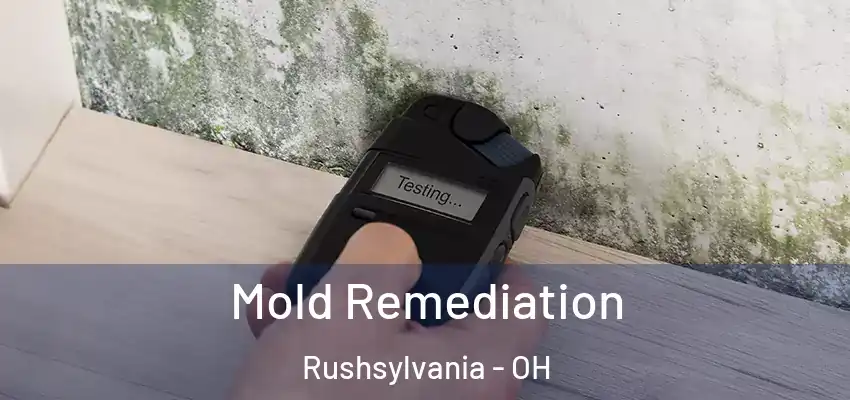 Mold Remediation Rushsylvania - OH