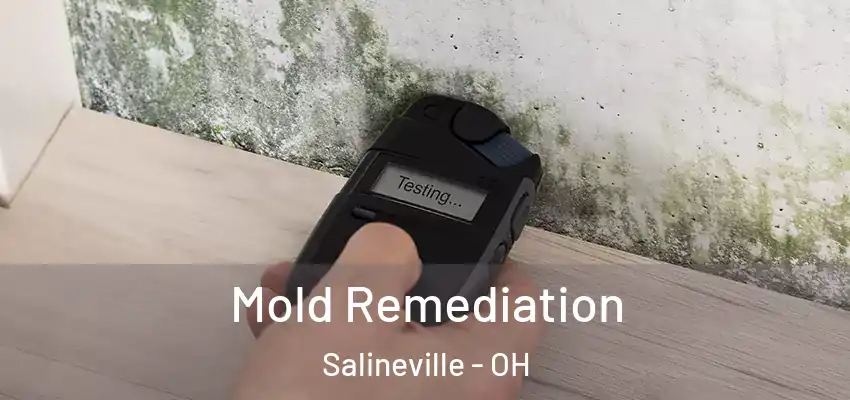 Mold Remediation Salineville - OH