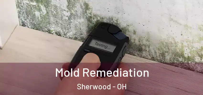 Mold Remediation Sherwood - OH