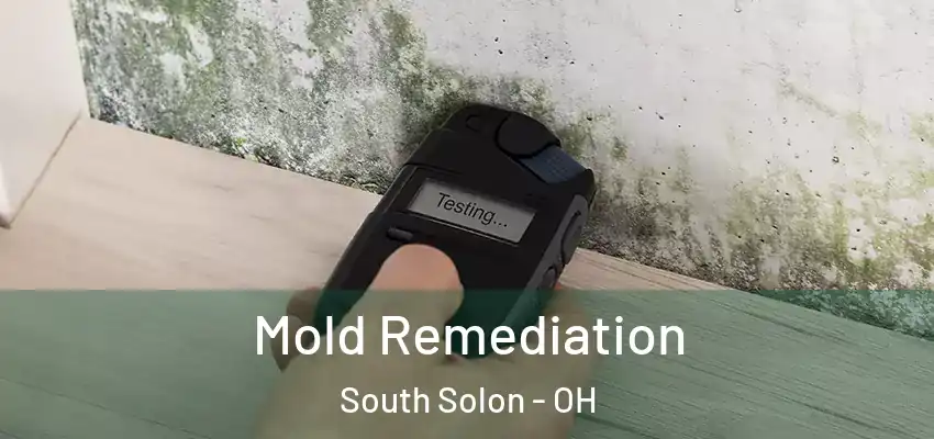  Mold Remediation South Solon - OH