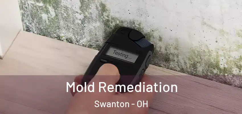  Mold Remediation Swanton - OH