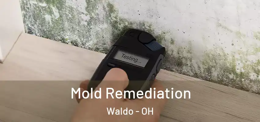  Mold Remediation Waldo - OH