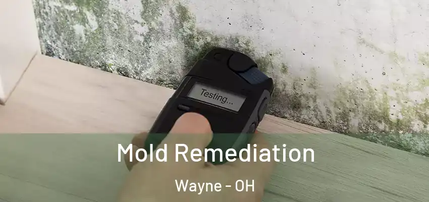  Mold Remediation Wayne - OH