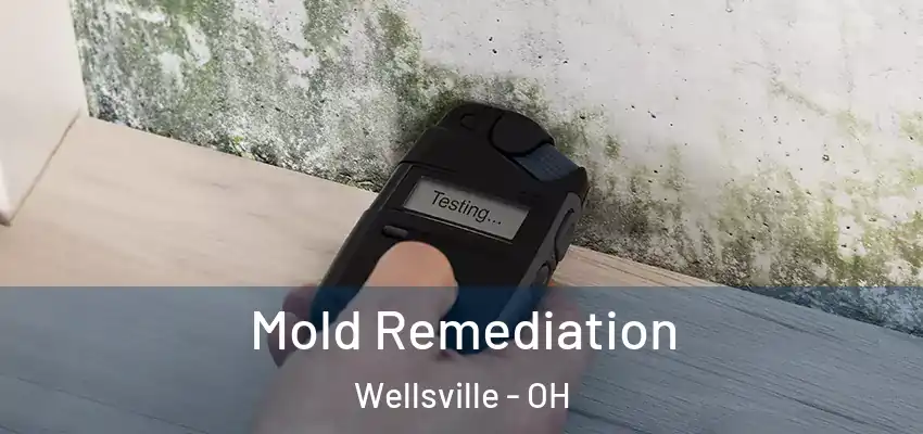  Mold Remediation Wellsville - OH