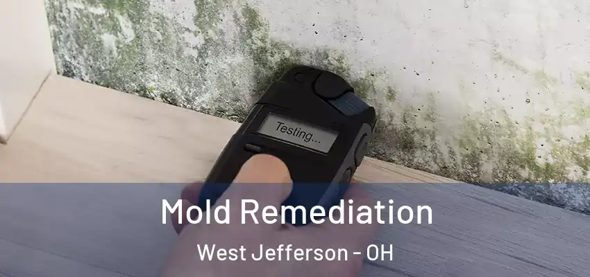 Mold Remediation West Jefferson - OH