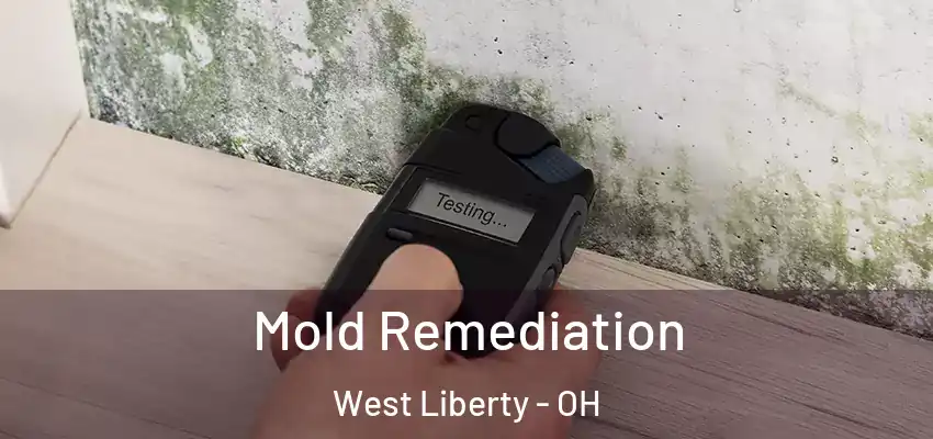  Mold Remediation West Liberty - OH