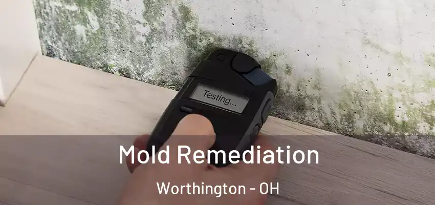  Mold Remediation Worthington - OH