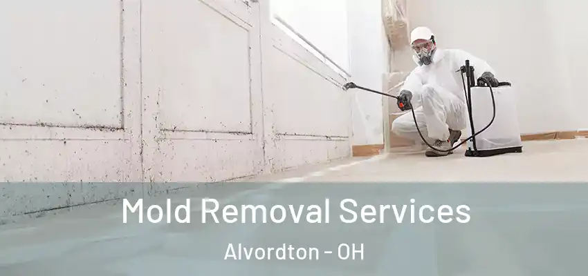  Mold Removal Services Alvordton - OH