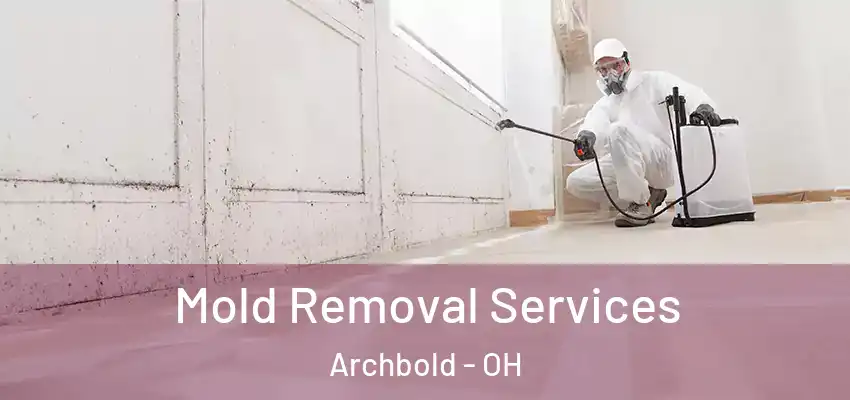  Mold Removal Services Archbold - OH