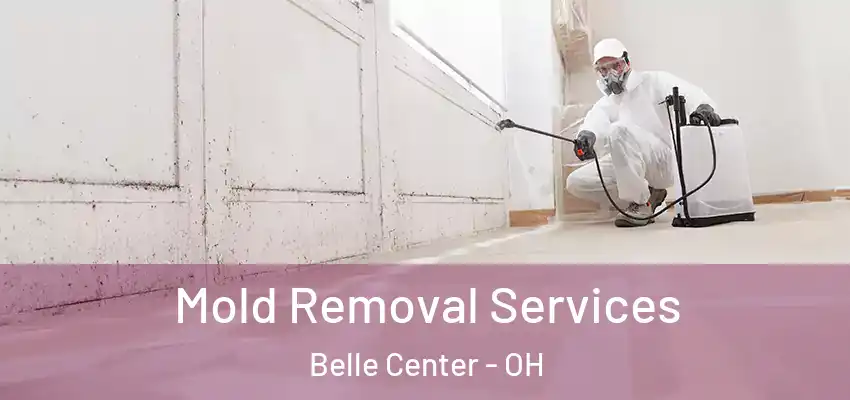  Mold Removal Services Belle Center - OH