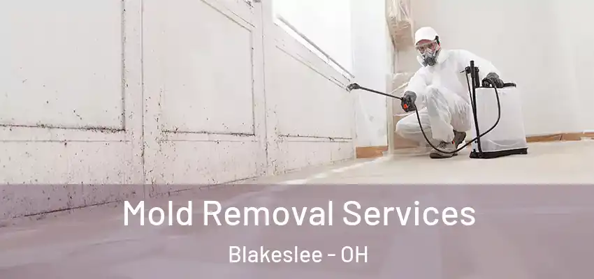  Mold Removal Services Blakeslee - OH