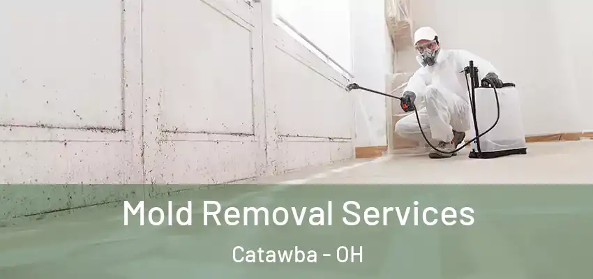  Mold Removal Services Catawba - OH