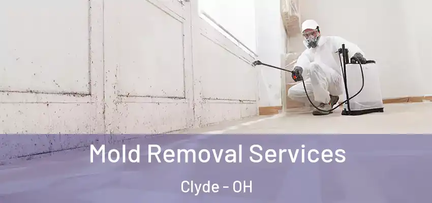  Mold Removal Services Clyde - OH