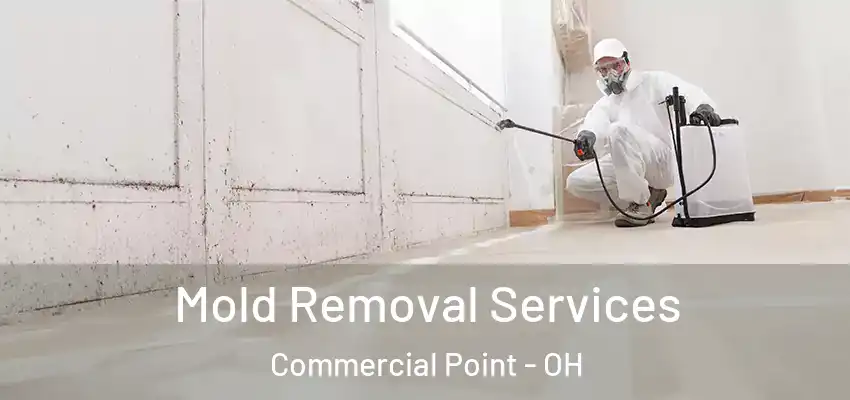  Mold Removal Services Commercial Point - OH