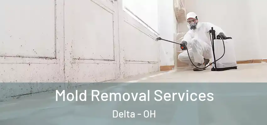  Mold Removal Services Delta - OH