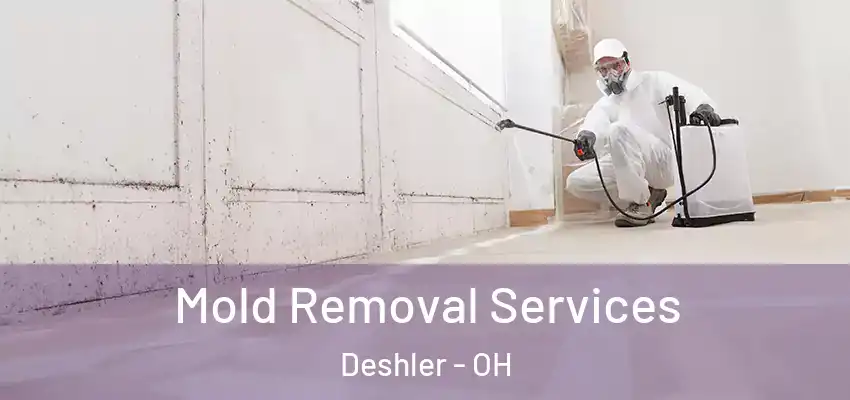  Mold Removal Services Deshler - OH