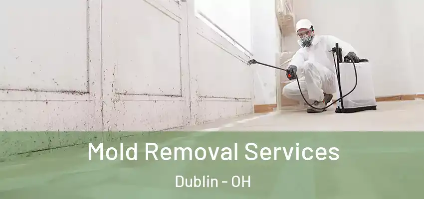  Mold Removal Services Dublin - OH