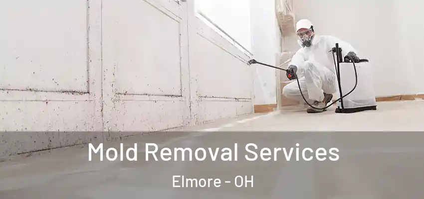  Mold Removal Services Elmore - OH
