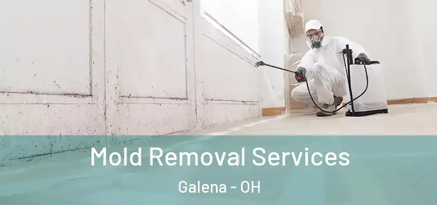 Mold Removal Services Galena - OH