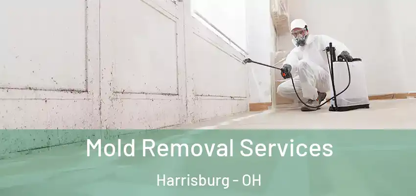  Mold Removal Services Harrisburg - OH
