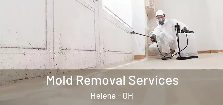  Mold Removal Services Helena - OH
