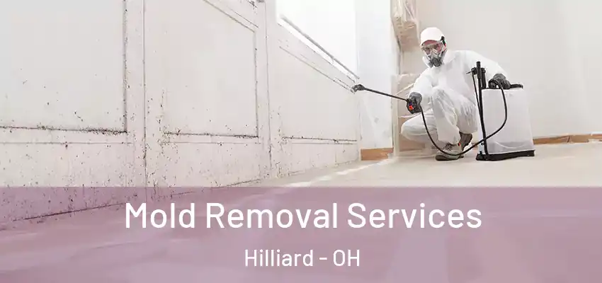  Mold Removal Services Hilliard - OH