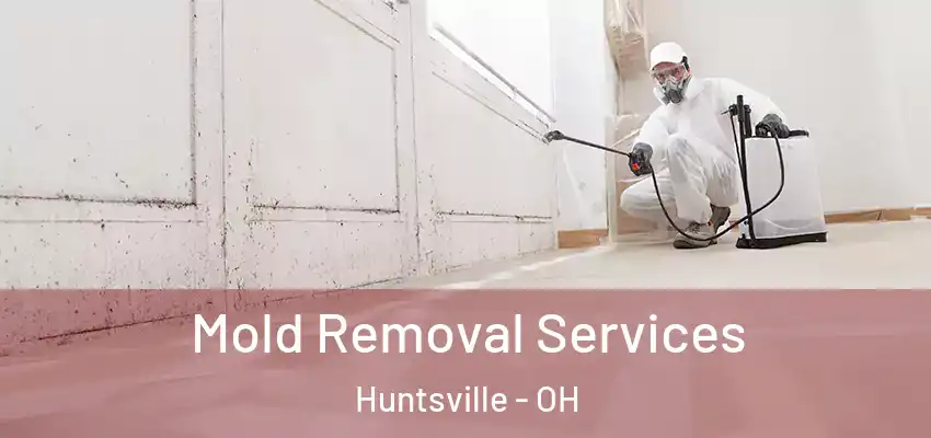  Mold Removal Services Huntsville - OH