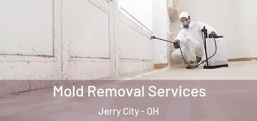  Mold Removal Services Jerry City - OH
