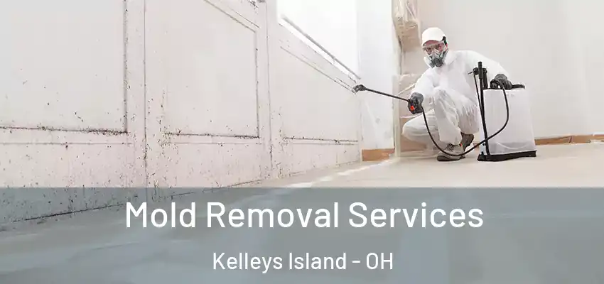  Mold Removal Services Kelleys Island - OH