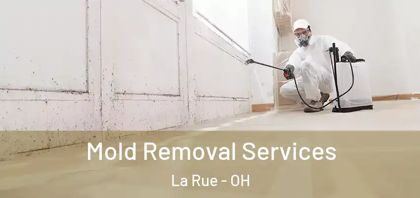 Mold Removal Services La Rue - OH