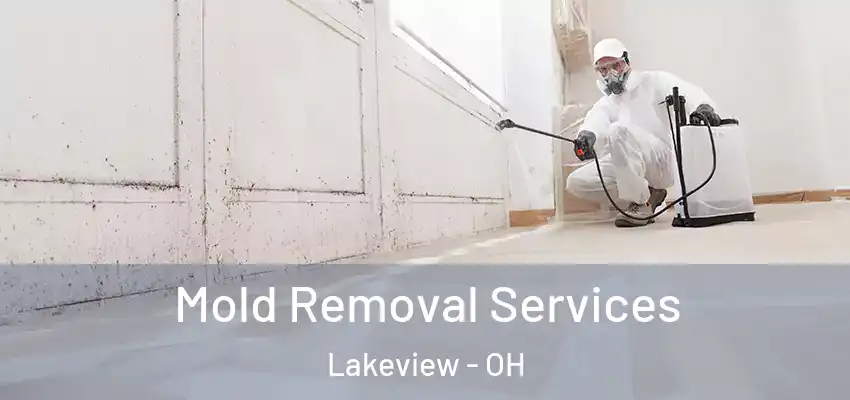  Mold Removal Services Lakeview - OH
