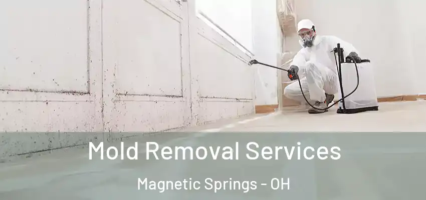  Mold Removal Services Magnetic Springs - OH