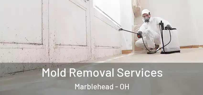 Mold Removal Services Marblehead - OH