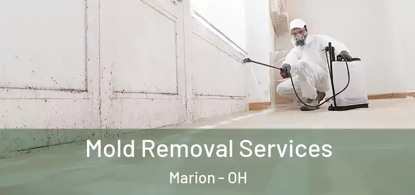  Mold Removal Services Marion - OH