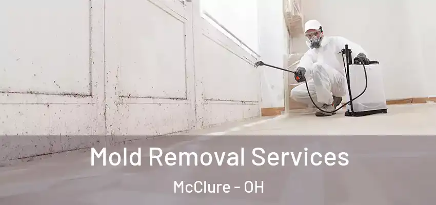  Mold Removal Services McClure - OH