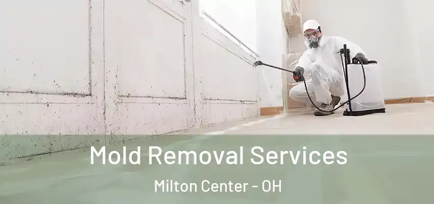  Mold Removal Services Milton Center - OH