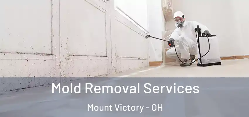 Mold Removal Services Mount Victory - OH