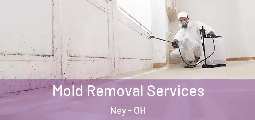 Mold Removal Services Ney - OH
