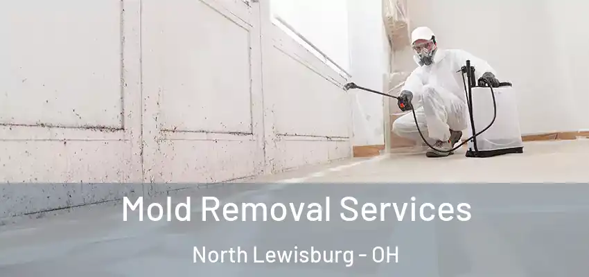  Mold Removal Services North Lewisburg - OH