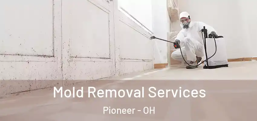  Mold Removal Services Pioneer - OH