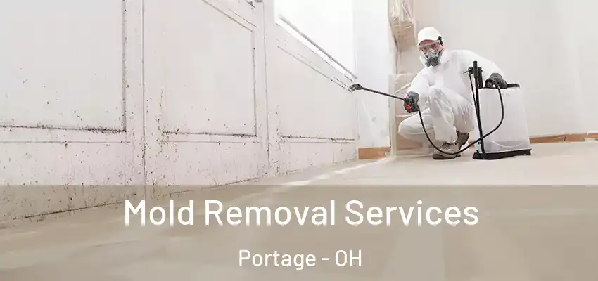  Mold Removal Services Portage - OH