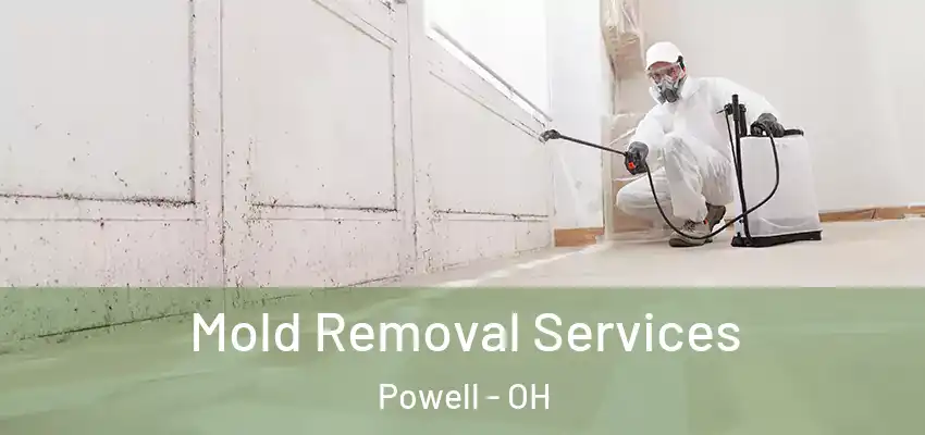 Mold Removal Services Powell - OH