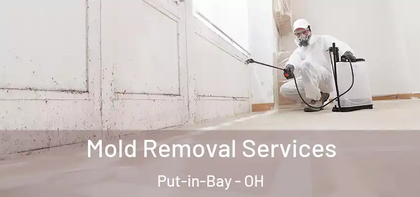  Mold Removal Services Put-in-Bay - OH